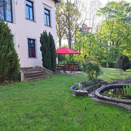 דרזדן Gaestehaus Villa Seraphinum מראה חיצוני תמונה